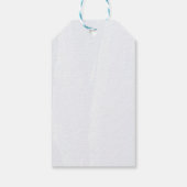 Summer Popsicle Baby Shower Fevor Tags Geschenkanhänger (Rückseite)