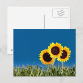 Summer Post Cards Postkarte (Vorne/Hinten)