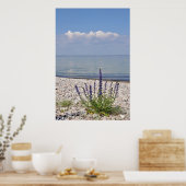 Summer Print Poster (Küche)