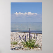 Summer Print Poster (Vorne)