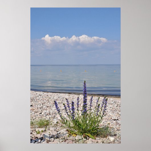 Summer Print Poster (Vorne)