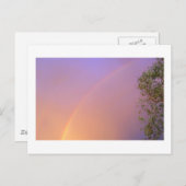 Summer Rainbow Postkarte (Vorne/Hinten)