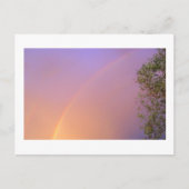 Summer Rainbow Postkarte (Vorderseite)