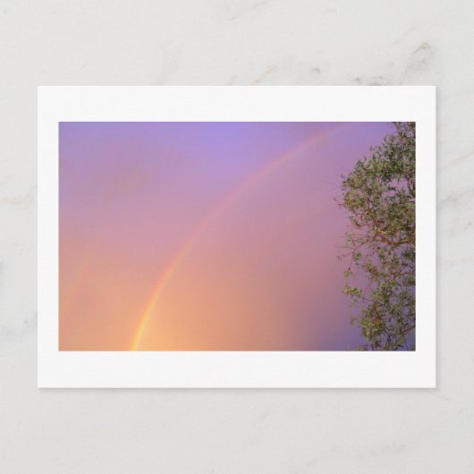 Summer Rainbow Postkarte (Vorderseite)