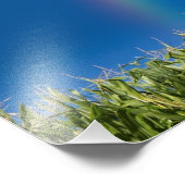 Summer Rainbow Wall Print Fotodruck (Ecke)