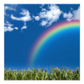 Summer Rainbow Wall Print Fotodruck (Vorne)