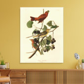 Summer Red Bird (Tanager) Audubon Birds of America Leinwanddruck (Insitu (Wohnzimmer))