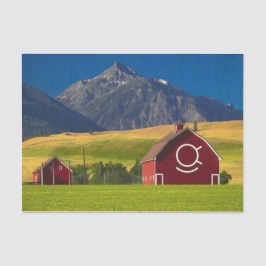 Summer Red Mountain Barns  Seidenpapier (Vorderseite)
