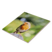 Summer Robin Fliese (Seite)