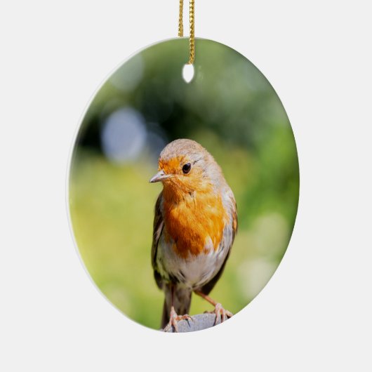 Summer Robin Keramik Ornament (Rechts)