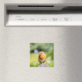 Summer Robin Magnet (In Situ (Geschirrspüler))