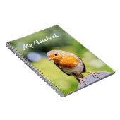 Summer Robin Notizblock (Rechte Seite)