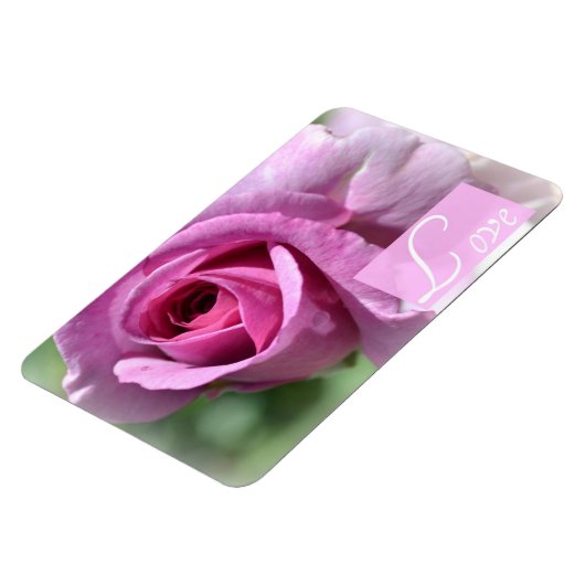 Summer Rose Magnet (Linke Seite)
