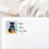 Summer Rottweiler (Insitu)