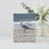 Summer Sea Gull Postkarte (Stehend Vorderseite)