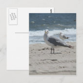 Summer Sea Gull Postkarte (Vorne/Hinten)