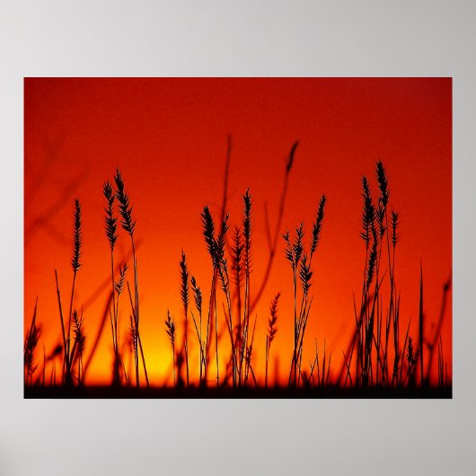 Summer Silhouette Poster (Vorne)