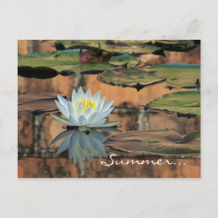 Summer Solstice Party Einladung Postkarte