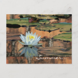 Summer Solstice Party Einladung Postkarte