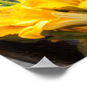 Summer Squash Blossoms Poster Paper (Matte) (Ecke)