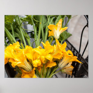 Summer Squash Blossoms Poster Paper (Matte)