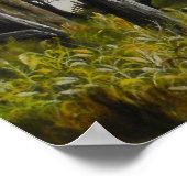 Summer Storm Oil Malposter Poster (Ecke)