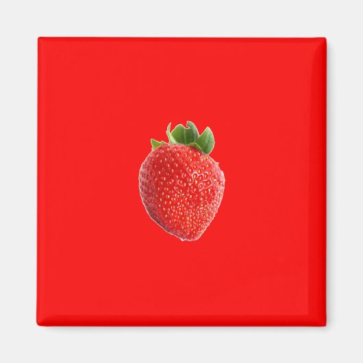 Summer Strawberry Magnet (Vorne)