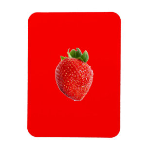 Summer Strawberry Magnet