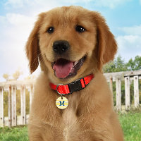 Summer Stripes Personalisiert Monogramm ID Hund Ta