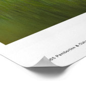 Summer Suds Poster (Ecke)