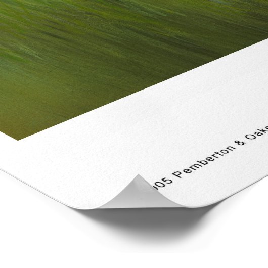 Summer Suds Poster (Ecke)