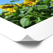 Summer Sunblumen Poster (Ecke)