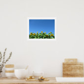 Summer Sunblumen Poster (Küche)