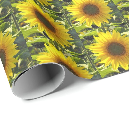 Summer Sunblumen Wrapping Paper Geschenkpapier (Rolleneckpunkt)