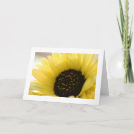 Summer Sunflower Bio Blank Grußkarte Karte