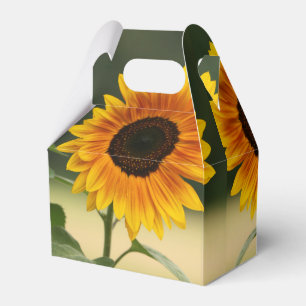 Summer Sunflower Bio Gefallen Box Geschenkschachtel