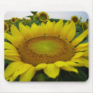 Summer Sunflower Series Mousepad