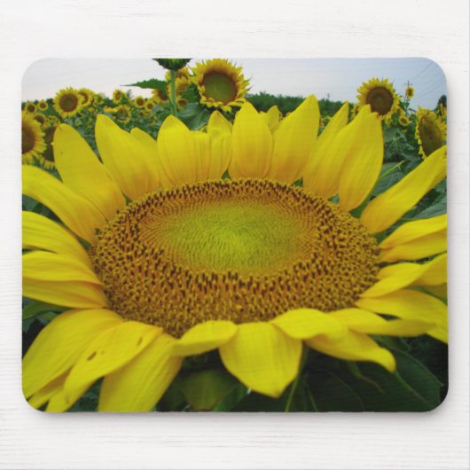 Summer Sunflower Series Mousepad (Vorne)