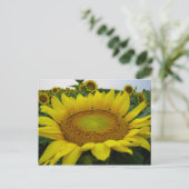 Summer Sunflower Series Postkarte (Stehend Vorderseite)