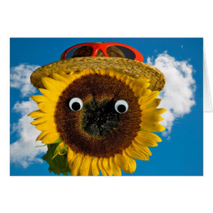 Summer Sunflower Spaß Geburtstag