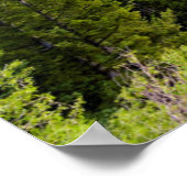 Summer Sunset at Snake River Overlook Poster (Ecke)