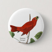 Summer Tanager, Audubon Red Bird, Birdwatcher Bird Button (Vorderseite)