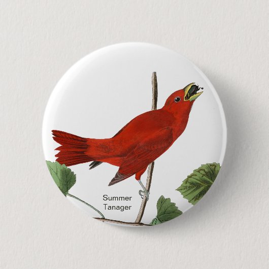 Summer Tanager, Audubon Red Bird, Birdwatcher Bird Button (Vorderseite)