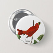 Summer Tanager, Audubon Red Bird, Birdwatcher Bird Button (Vorne & Hinten)