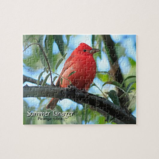 Summer Tanager Bird Puzzle (Horizontal)