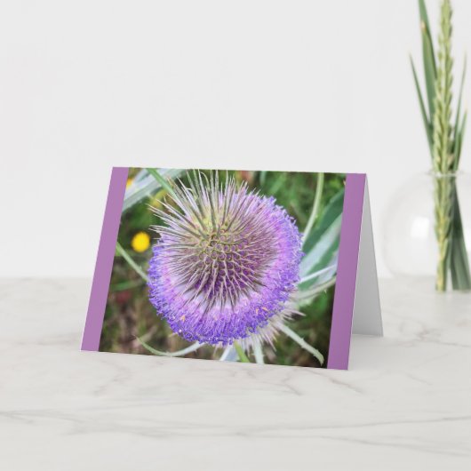 Summer Thistle Blume Karte (Vorderseite)