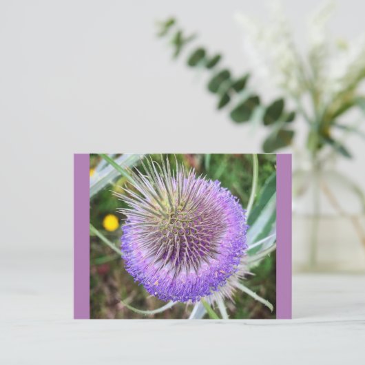 Summer Thistle Blume Postkarte (Stehend Vorderseite)