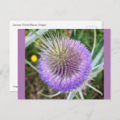 Summer Thistle Blume Postkarte (Vorne/Hinten)