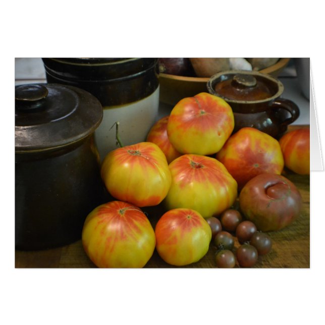 Summer Tomato Harvest (Vorderseite (Horizontal))