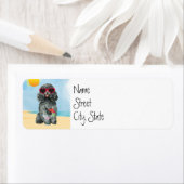 Summer Toy Poodle (Insitu)